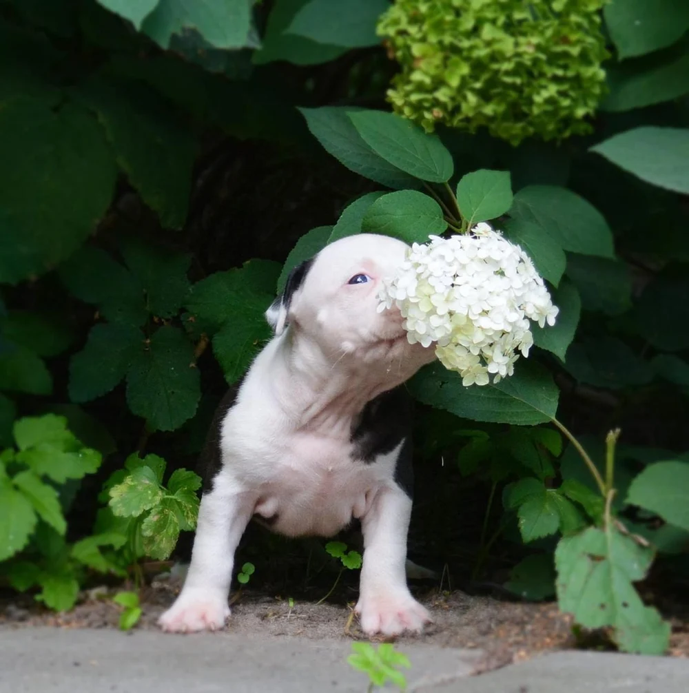 Привет! Меня зовут Зетта, но можно просто Зина