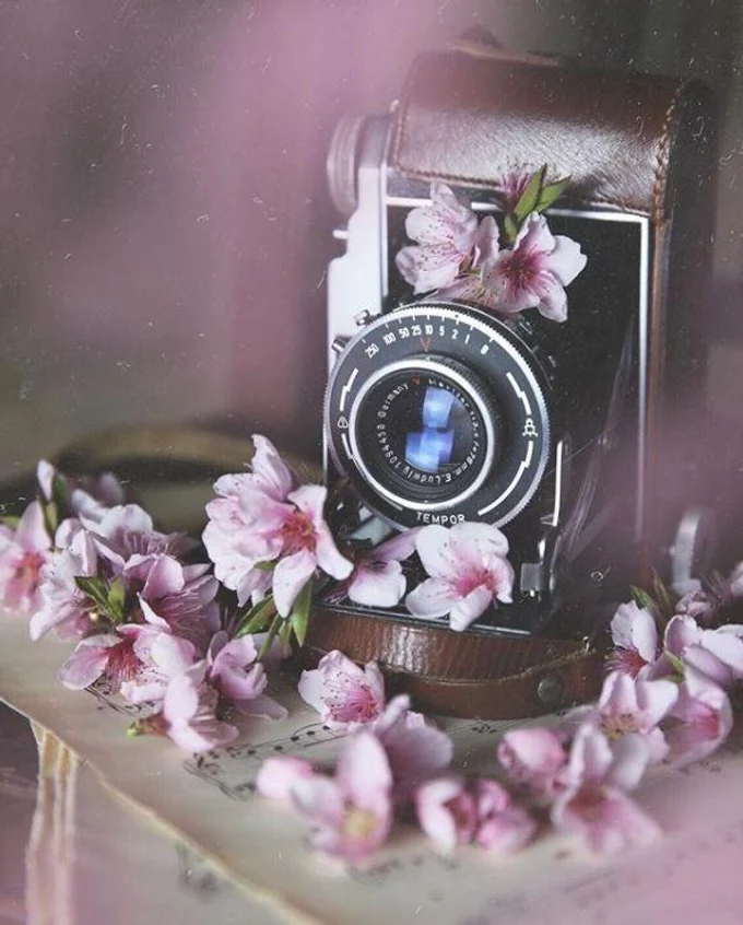 Те, кто не сможет посетить нас, смогут посмотреть фото и видео