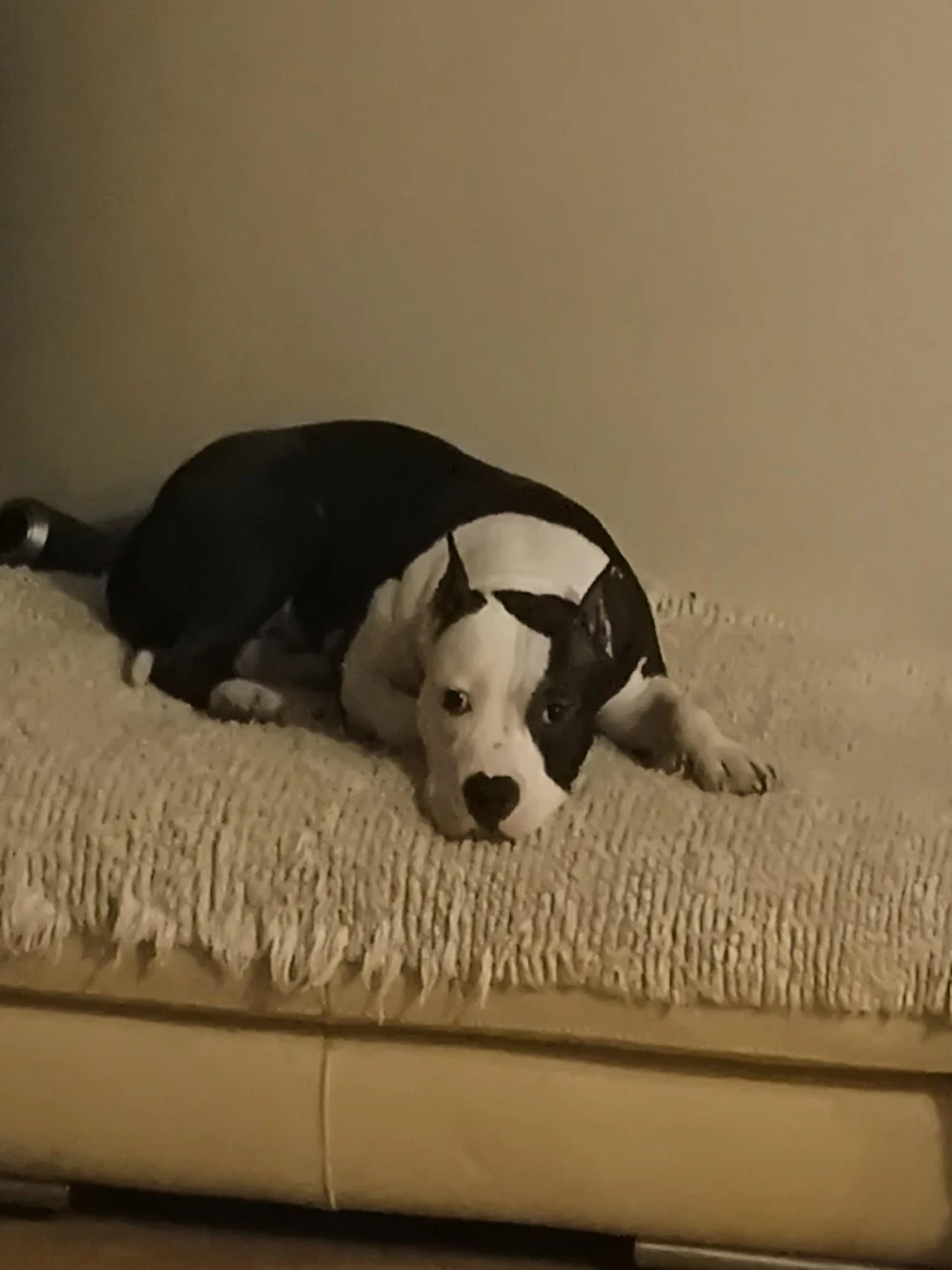 Привет! Меня зовут Зетта, но можно просто Зина