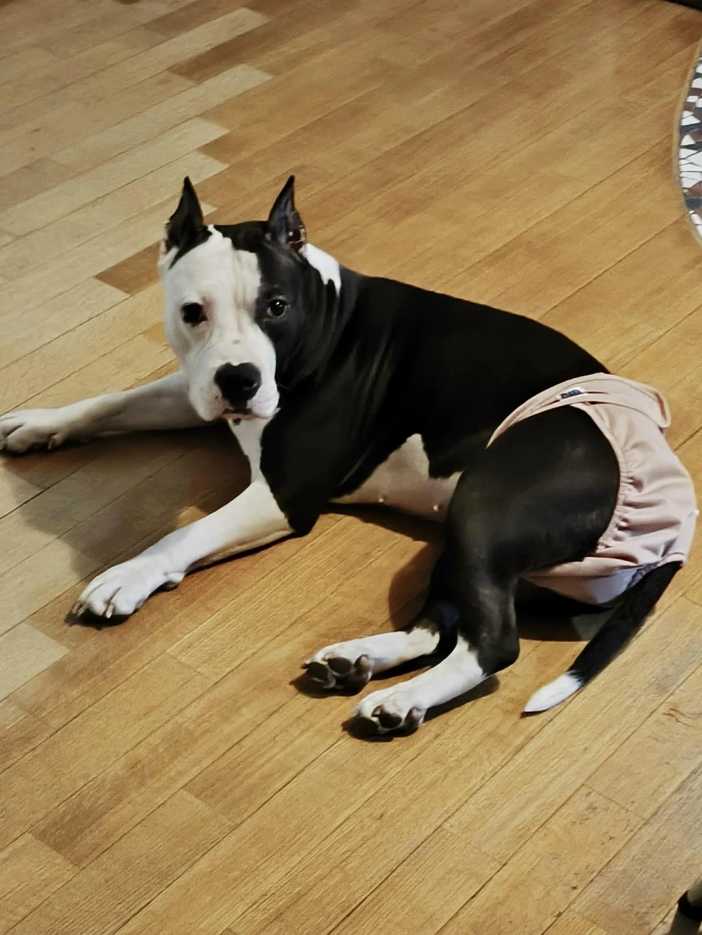 Привет! Меня зовут Зетта, но можно просто Зина