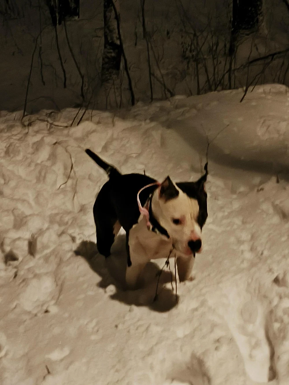 Привет! Меня зовут Зетта, но можно просто Зина