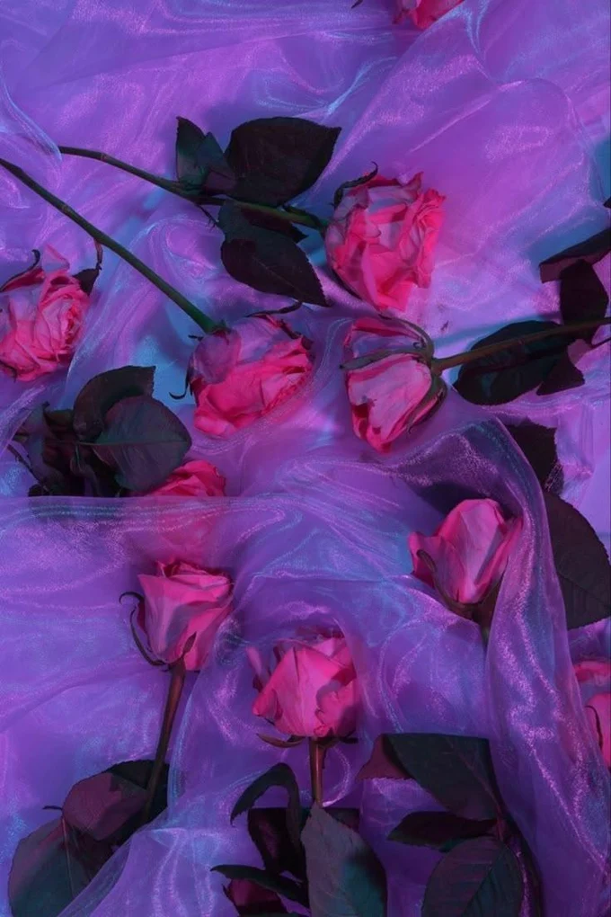 Сами фотографии появятся ниже после мероприятия, лишь немного подождать...